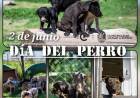 DIA DEL PERRO (2/6)