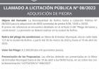 LICITACION PUBLICAN° 008/2023