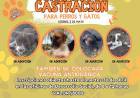CASTRACIONES: 15 CUPOS PARA PERROS . SIN CUPOS PARA GATOS