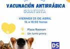 VACUNACION ANTIRRABICA GRATUITA PARA PERROS Y GATOS