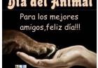 DIA DEL ANIMAL