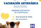 VACUNACION ANTIRRABICA PARA PERROS Y GATOS