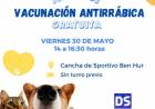 VACUNACION GRATUITA PARA PERROS Y GASTOS