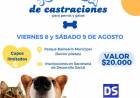 ULTIMA SEMANA DE INSCRIPCION- CASTRACIONES  PARA PERROS Y GATOS