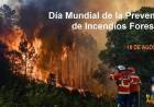 18 DE AGOSTO: DIA MUNDIAL DE LA PREVENCION DE INCENDIOS FORESTALES