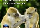 1 DE SETIEMBRE: DIA INTERNACIONAL DE LOS PRIMATES