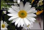 15 DE SETIEMBRE: DIA DE LA FLOR