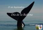25 DE SETIEMBRE: DIA DE LA BALLENA