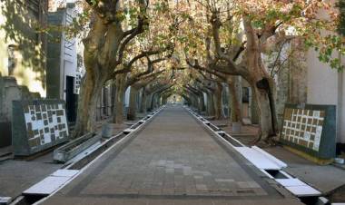 TRABAJOS EN EL CEMENTERIO