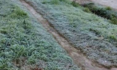 EL FRIO EN VERA HELADA