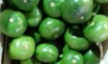 LA CALIDAD DE FRUTERÍA Y VERDULERÍA AMERICA