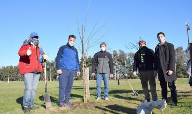 NUEVA ENTREGA DE ARBOLES A CLUBES