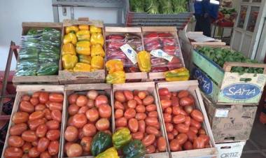MERCADERIA QUE LLEGO ESTA MAÑANA A  FRUTERIA Y VERDULERIA "AMERICA"