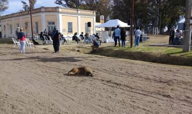 Festejos en Leguizamón- Nos comunicamos con Sandra Spada-