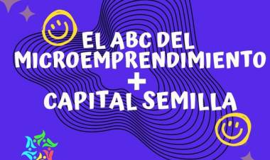EL ABC DEL MICROEMPRENDIMIENTO + CAPITAL SEMILLA