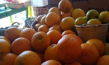 FRUTERIA Y VERDULERIA "EL 33"