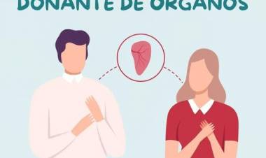 29 DE AGOSTO: DIA DE LA PERSONA DONANTE DE ORGANOS