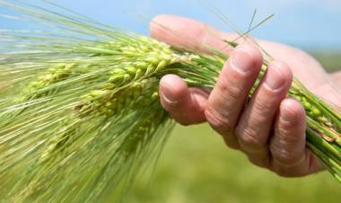 8 DE SETIEMBRE: DIA DEL AGRICULTOR Y DEL PRODUCTOR AGROPECUARIO