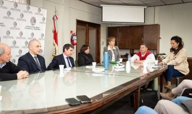 NUEVOS FISCALES