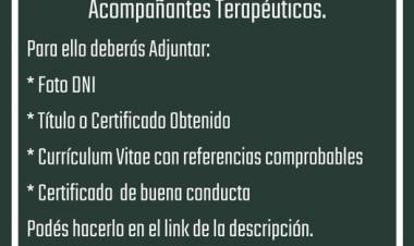 REGISTRO DE ACOMPAÑANTE TERAPEUTICO