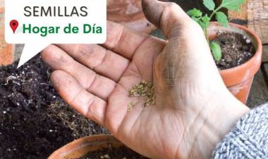 ENTREGA DE SEMILLAS