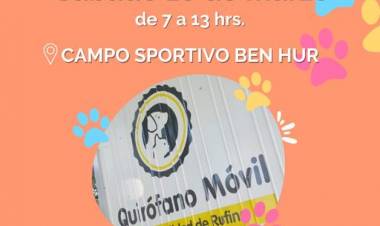 CASTRACIONES MARZO 2023
