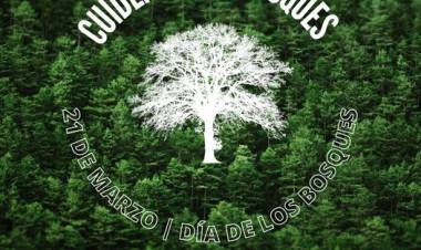 DIA INTERNACIONAL DE LOS BOSQUES 2023: "LOS BOSQUES Y LA SALUD"