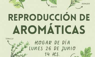 TALLER DE REPRODUCCION DE AROMATICAS