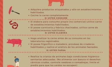 ALERTA DE TRIQUINOSIS