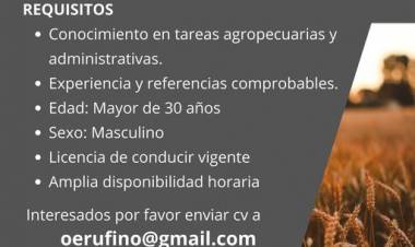 BUSQUEDA LABORAL