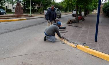 ARREGLO DE CORDON