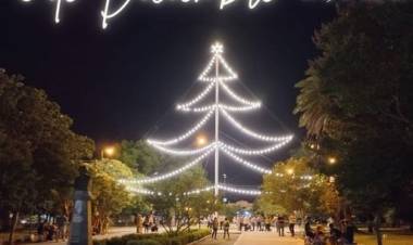 ARBOL