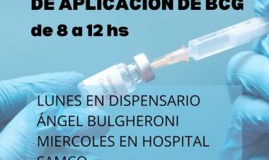 SAMCO RUFINO: CRONOGRAMA DE APLICACION  DE VACUNA BCG