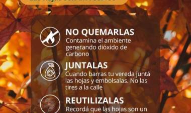 LAS HOJAS SON UN RECURSO