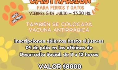 JORNADA DE CASTRACIONES