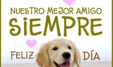 2 DE JUNIO: DIA MUNDIAL DEL PERRO