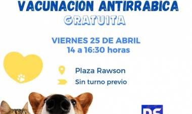 VACUNACION ANTIRRABICA GRATUITA PARA PERROS Y GATOS
