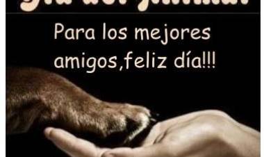 DIA DEL ANIMAL