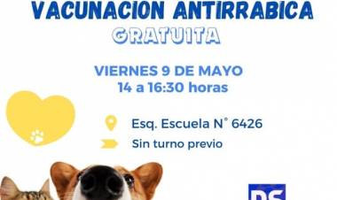 VACUNACION ANTIRRABICA PARA PERROS Y GATOS