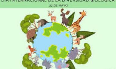 22 DE MAYO: DIA DE LA DIVERSIDAD BIOLOGICA
