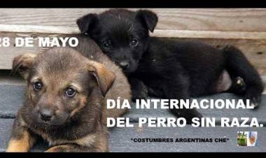 28  DE MAYO: DIA NACIONAL DEL PERRO SIN RAZA