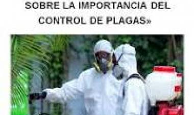 6 DE JUNIO: DIA MUNDIAL DE LA CONCIENCIA  SOBRE EL CONTROL DE PLAGAS