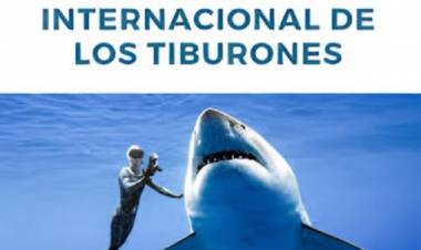 14 DE JULIO: DIA INTERNACIONAL DEL TIBURON
