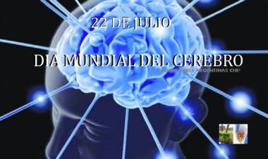 22 DE JULIO: DIA MUNDIAL DEL CEREBRO