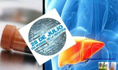 28 DE JULIO: DIA MUNDIAL CONTRA LA HEPATITIS