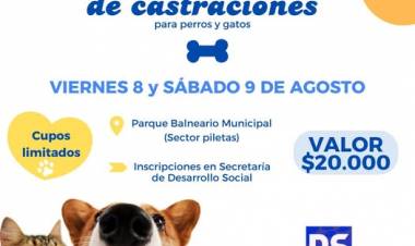 ULTIMA SEMANA DE INSCRIPCION- CASTRACIONES  PARA PERROS Y GATOS