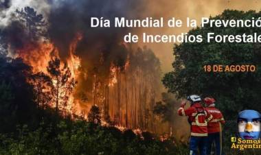 18 DE AGOSTO: DIA MUNDIAL DE LA PREVENCION DE INCENDIOS FORESTALES