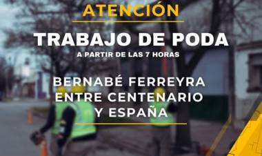 ATENCION: SE SOLICITA NO ESTACIONAR POR TRABAJOS DE PODA