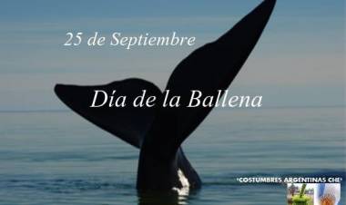 25 DE SETIEMBRE: DIA DE LA BALLENA