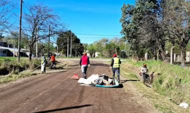 TRABAJOS DE LIMPIEZA EN TODA LA CIUDAD